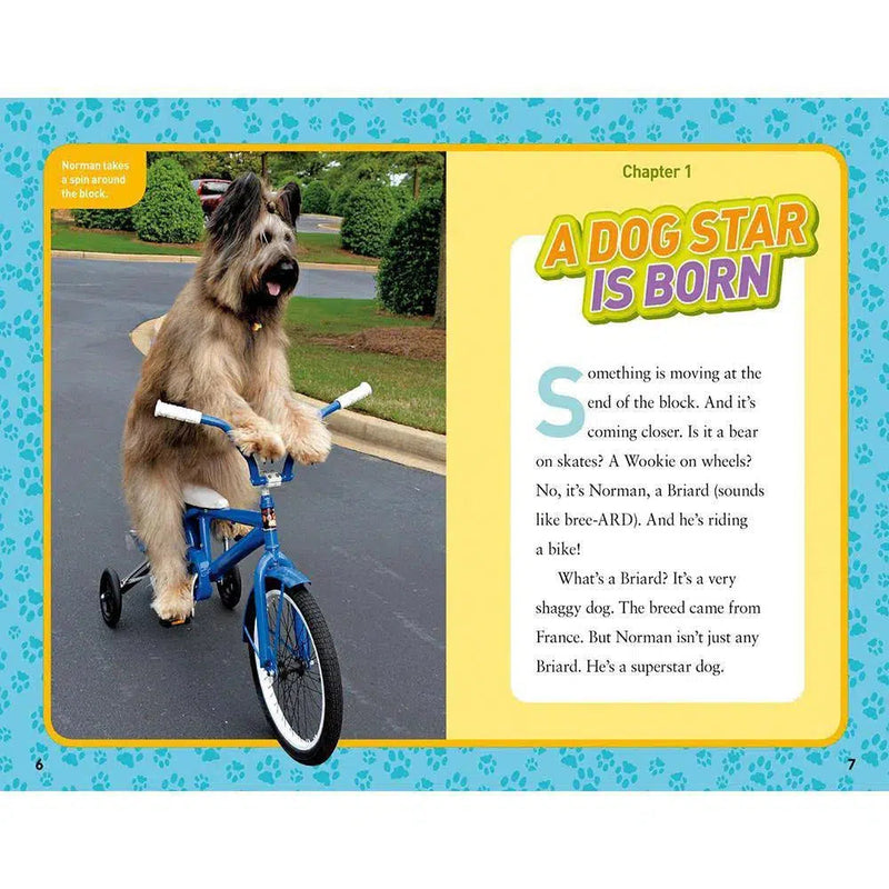 Dog on a Bike (National Geographic Kids Chapters) National Geographic