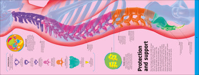 Book interior [onix-asset:5bcc83b84653e01005590d460e383680dcc93e665ecd844f086fe47d0d063edc]