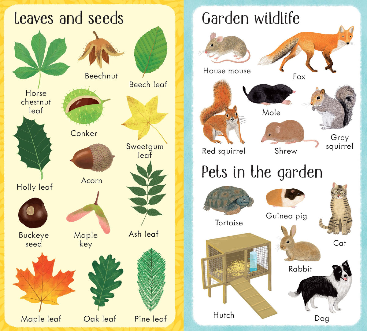 199 Things in the Garden interior 1 (ISBN 9781474936897) [onix-asset:acadc4e4e22ab2d1f6d325247cc987c4d4c7e30e8afd84c7bb39a1991d463a27]