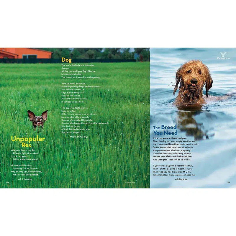 National Geographic Book of Animal Poetry-Children’s / Teenage: poetry/ anthologies/ annuals-買書書 BuyBookBook