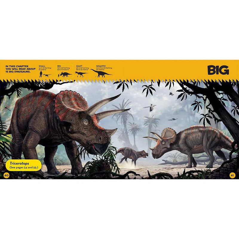 NGK Little Kids First Big Book of Dinosaurs (Hardback) National Geographic