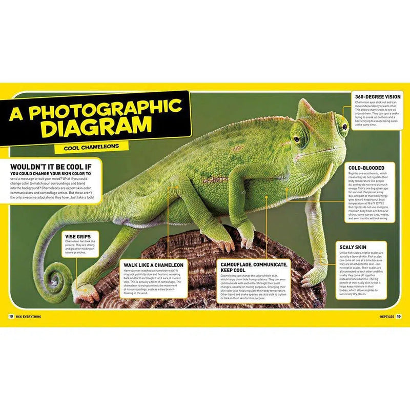 NGK Everything: Reptiles National Geographic