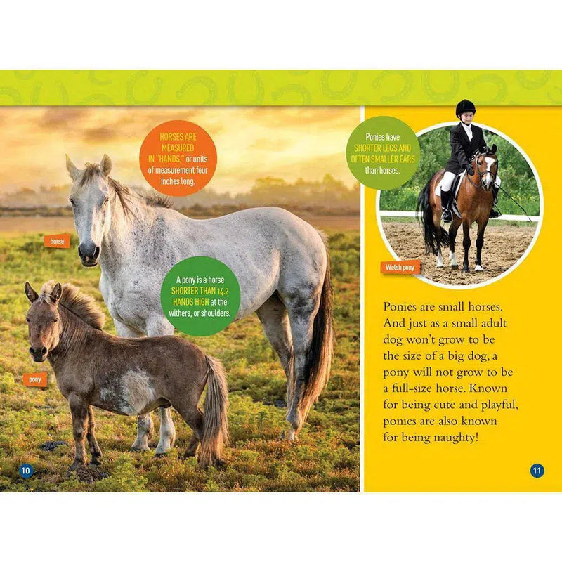 Gallop! 100 Fun Facts About Horses (L3) (National Geographic Kids Readers) National Geographic