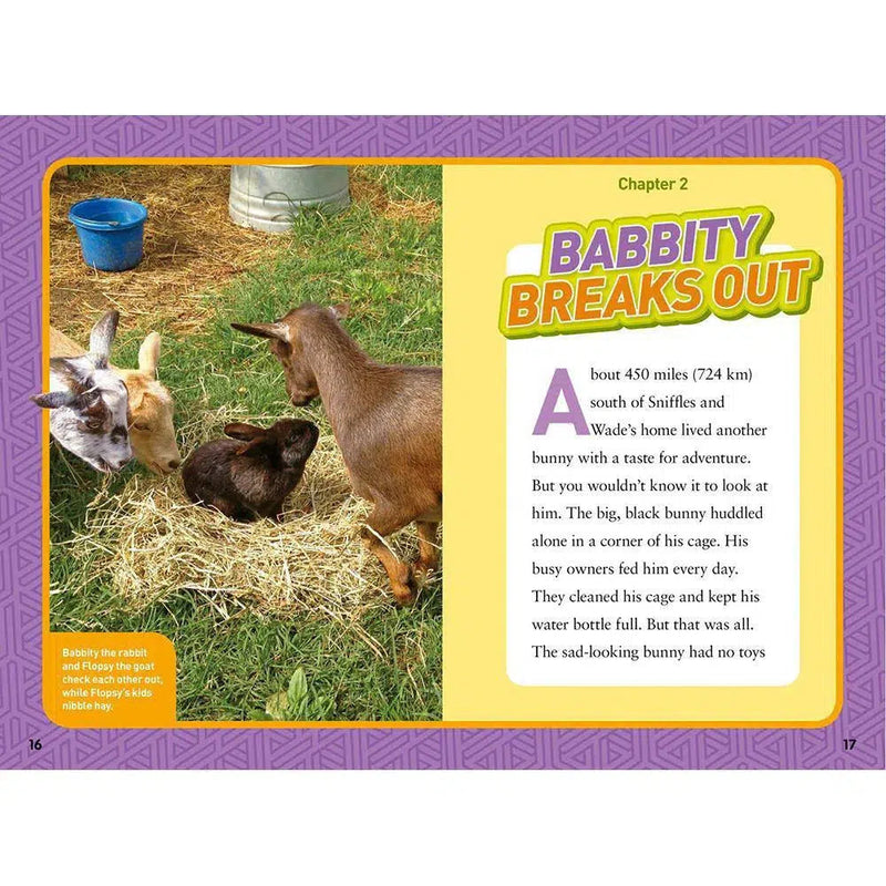 Rascally Rabbits (National Geographic Kids Chapters) National Geographic