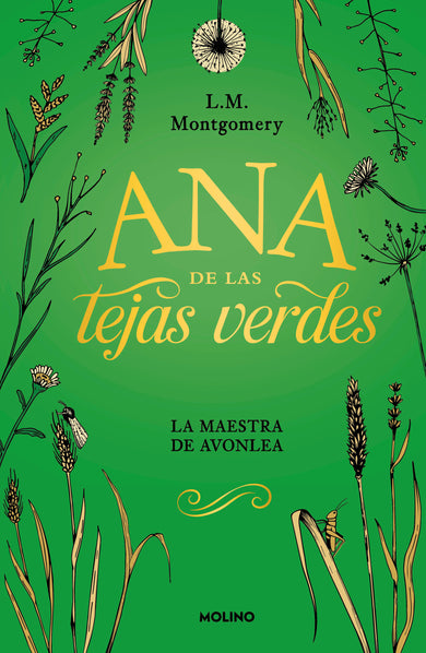 Ana de las tejas verdes. La maestra de Avonlea / Anne of Avonlea cover (ISBN 9786073864442) [onix:a55ebfd4e0ef6f223e1bb45fe2224d6c]