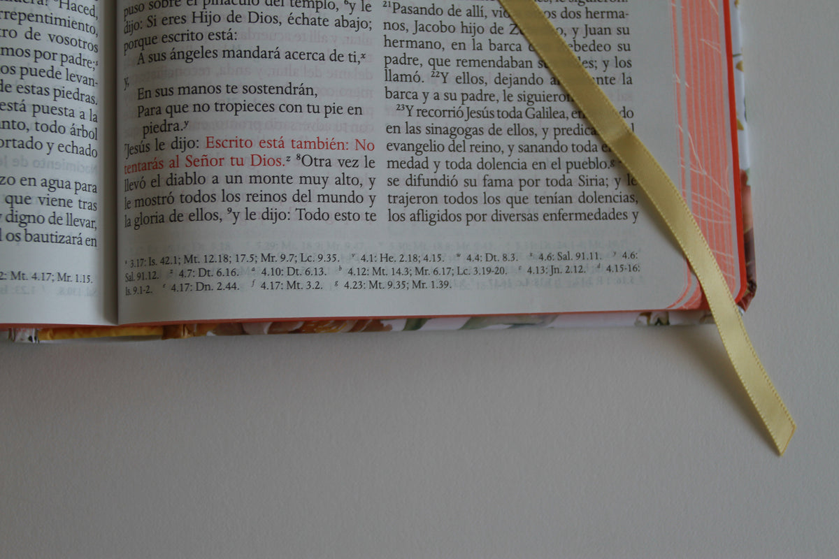 Biblia RVR 1960 letra grande tamaño manual, HC, flores rosadas y cantos pintados / Spanish Bible RVR 1960 Handy Size Large Print with flowers and sprayed edge interior 10 (ISBN 9798890982162) [onix:9c73d669e362c47b39e7de4d88cb8f37]