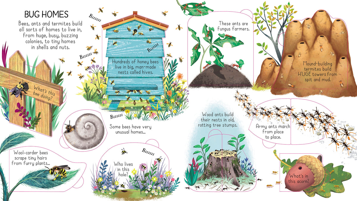Look Inside Animal Homes interior 1 (ISBN 9781474942928) [onix-asset:34921bd921d452fdbd27254ec6d11ba3e1e72f39c60d8c45fd35fde83a85e060]
