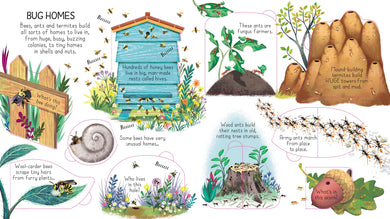 Look Inside Animal Homes interior 1 (ISBN 9781474942928) [onix-asset:34921bd921d452fdbd27254ec6d11ba3e1e72f39c60d8c45fd35fde83a85e060]