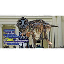 Weird But True! Dinosaurs