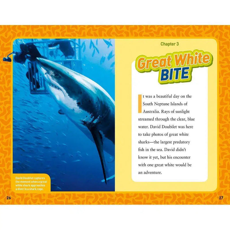 Diving With Sharks (National Geographic Kids Chapters) National Geographic