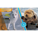 NGK: Animal Showdown Round Two National Geographic