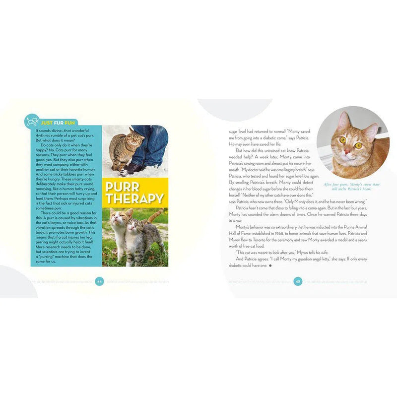 Cat Tales (Hardback) National Geographic