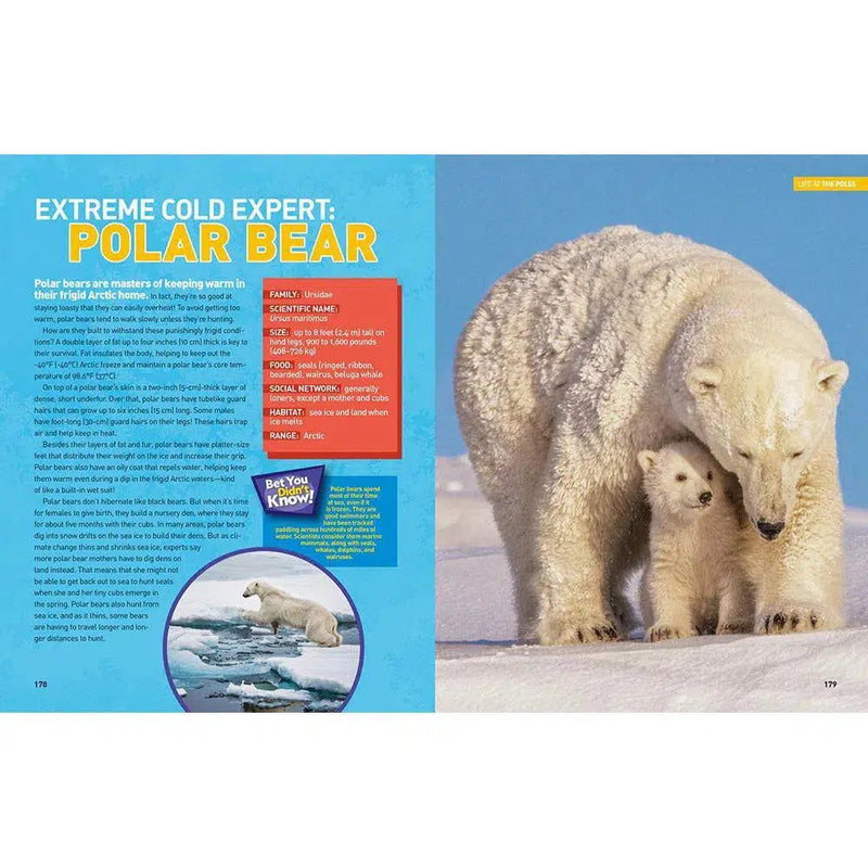 NGK: Ultimate Weather-pedia (Hardback) National Geographic