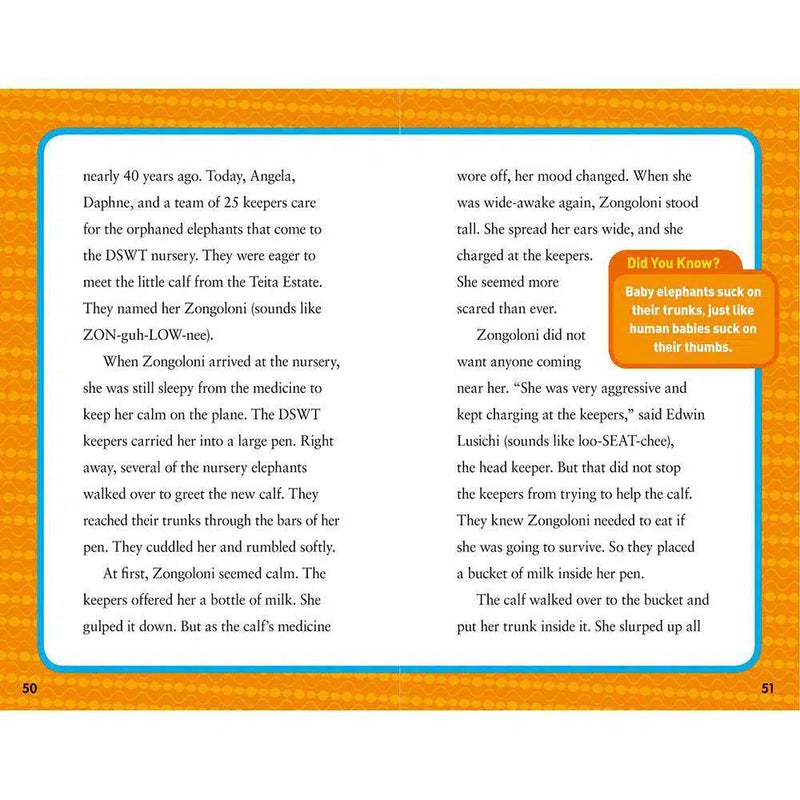 Hoops to Hippos (National Geographic Kids Chapters) National Geographic