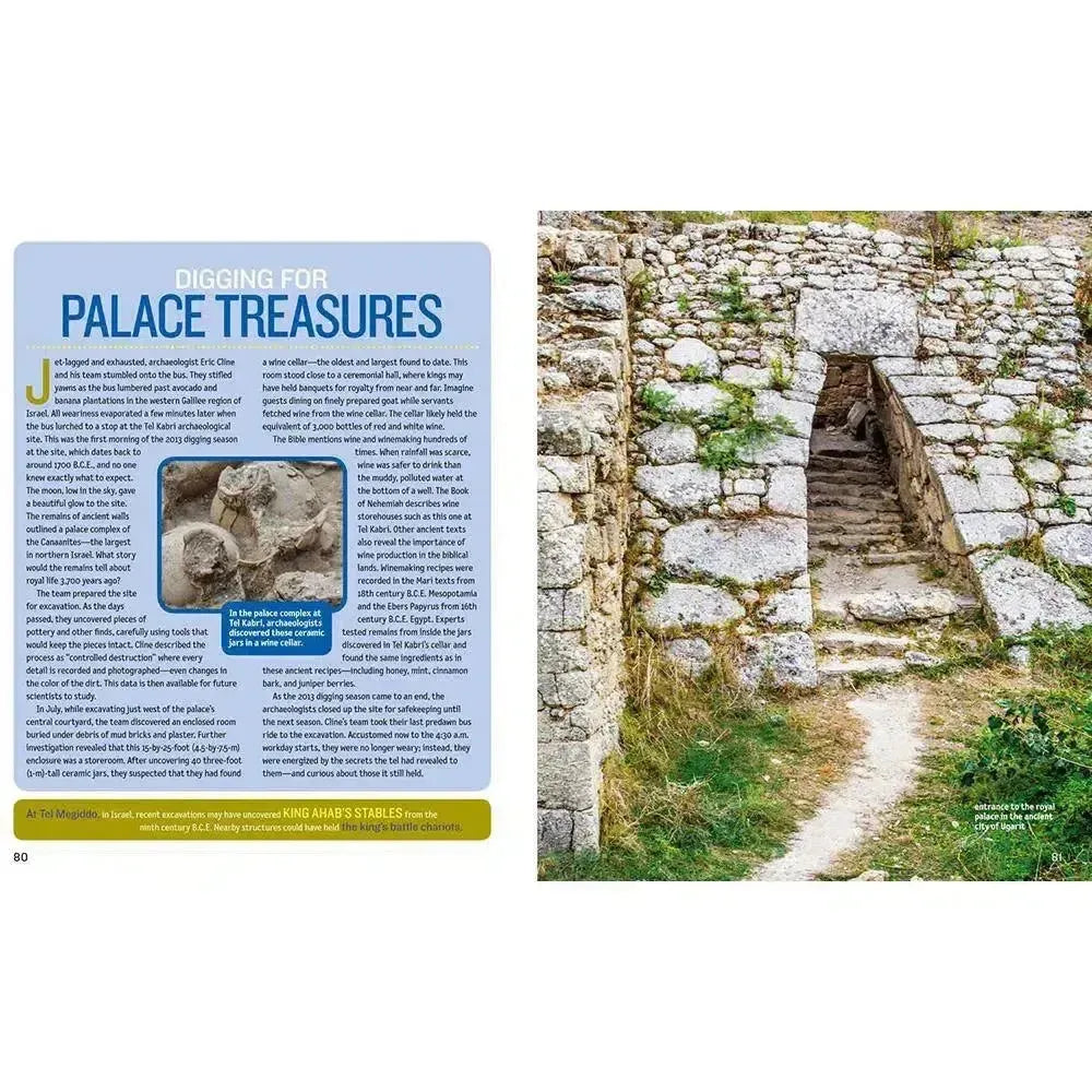 The World of the Bible (Hardback) National Geographic