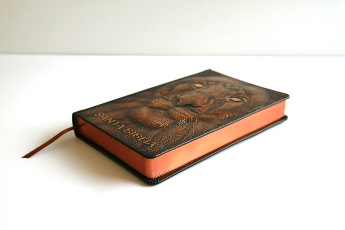 Biblia RVR 1960 Letra grande León de Judá edición especial bronce / Spanish Bible RVR 1960 Large Print Imitation Leather Lion of Judah Special Edition interior 2 (ISBN 9798890980076) [onix:6cdbc7bba3b7869821e8e0d835f1b81e]