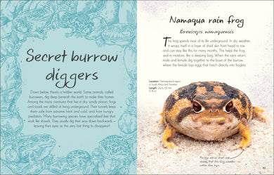 An Anthology of Frogs and Toads interior 1 (ISBN 9780241836163) [onix-asset:7226a12cdc2c90238591e598883d53c2d96cae7d8c498df64c350b59943708f1]