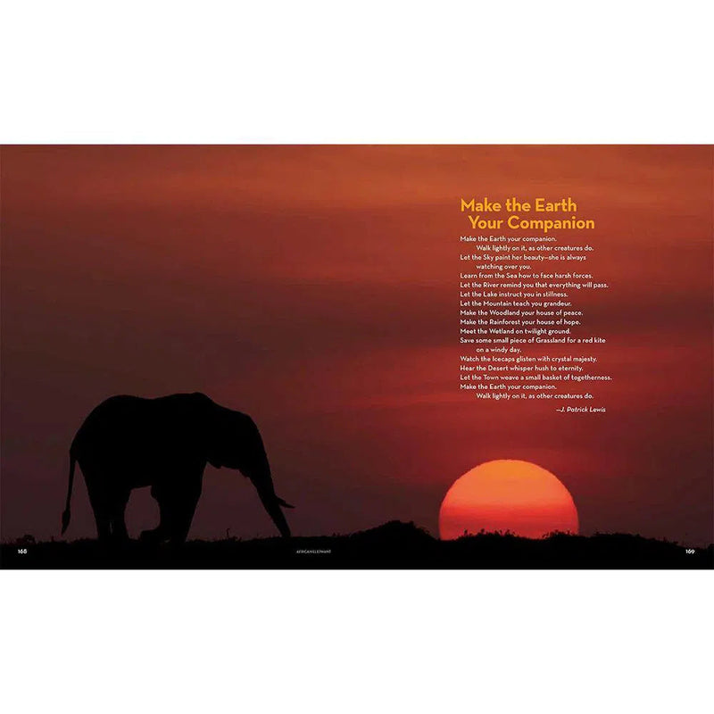 National Geographic Book of Animal Poetry-Children’s / Teenage: poetry/ anthologies/ annuals-買書書 BuyBookBook