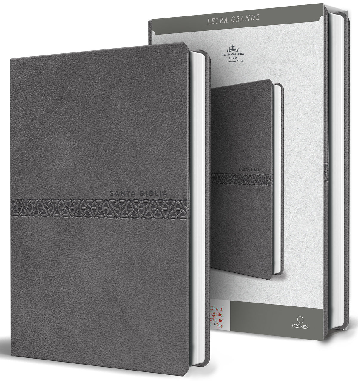 Biblia RVR 1960 letra grande, tamaño manual, símil piel gris, edición económica / RVR 1960 Bible, Large Print Handy Size, Gray Imitation Leather, Economic cover (ISBN 9798890985514) [onix:d48b956b71cfe2187cfa96cc2acc14fe]