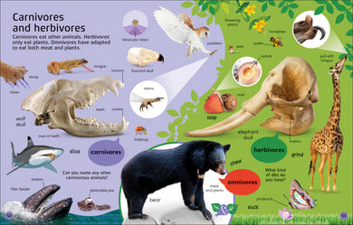 1000 Animal Words interior 2 (ISBN 9780744069945) [onix-asset:dbfe34d859115ee6f77083667799361e2b2c8ffcdba3cf6195b86f5ce448fb5b]