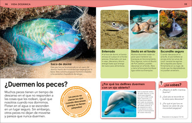 ¿Sabías qué? Océanos (Did You Know? Ocean) interior 5 (ISBN 9798217129737) [onix:a316ff2808a0ad67611a58bb94eceb90]