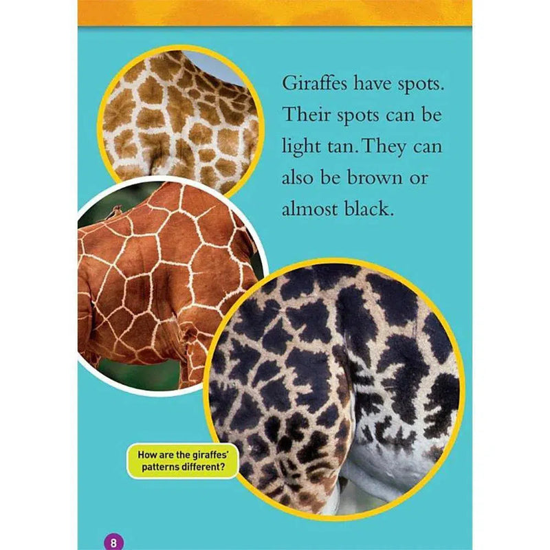 Giraffes (L1) (National Geographic Kids Readers) National Geographic