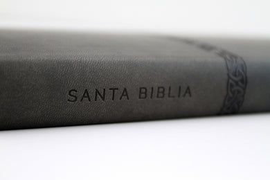 Biblia RVR 1960 letra grande, tamaño manual, símil piel gris, edición económica / RVR 1960 Bible, Large Print Handy Size, Gray Imitation Leather, Economic interior 7 (ISBN 9798890985514) [onix:ccab75bc3daae933bea74fa684404314]
