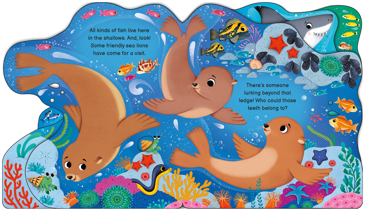 Who's in the Ocean Today? interior 1 (ISBN 9781805077091) [onix-asset:aaa92f2df023137168ce5029ee7ba96c4854a524c39865dc8b5cb7c0a9cdd164]