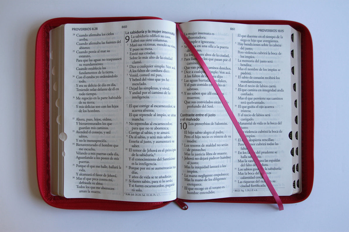 Biblia Reina Valera Revisada 1960 letra súper gigante, símil piel fucsia rosada, cremallera e índice / Spanish Bible RVR 1960 Super Giant Print, Fuchsia Pink interior 7 (ISBN 9798890985712) [onix:d824164ffde18a2768006aa1b75a6dd0]