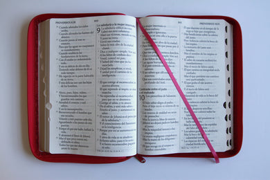 Biblia Reina Valera Revisada 1960 letra súper gigante, símil piel fucsia rosada, cremallera e índice / Spanish Bible RVR 1960 Super Giant Print, Fuchsia Pink interior 7 (ISBN 9798890985712) [onix:d824164ffde18a2768006aa1b75a6dd0]