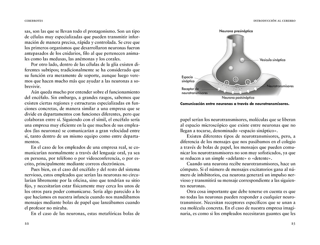 Cerebrotes: Cultiva y moldea tu cerebro gracias a la neuroplasticidad / Brainiac interior 1 (ISBN 9788419965011) [onix:5fdf81b8481b47b150a58ba24b469893]