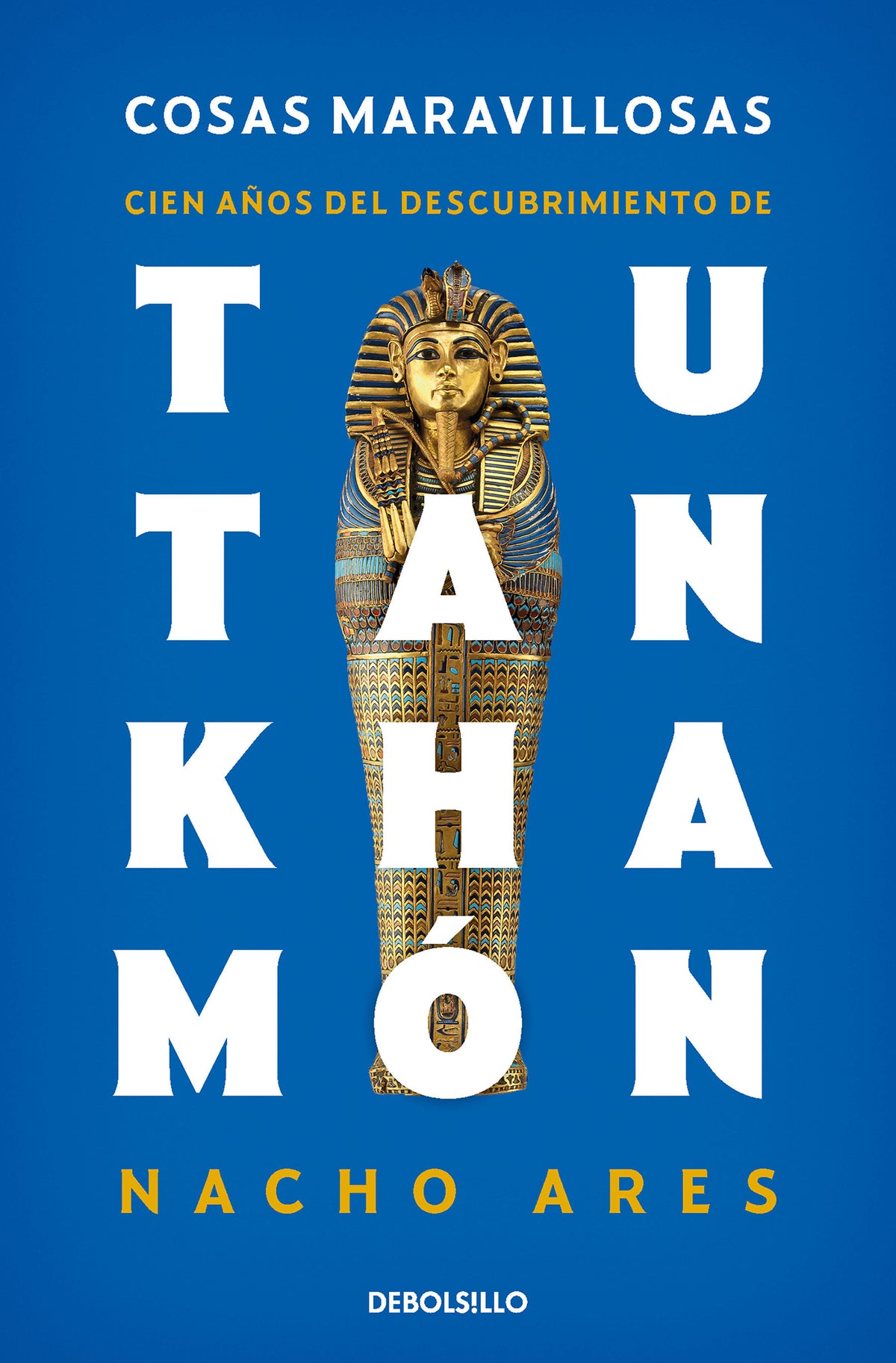 Cosas maravillosas. Cien años del descubrimiento de Tutankhamón / The Discovery of Tutankhamun's Tomb cover (ISBN 9788466357111) [onix:ff59780f3c3e0fe5c3e78468cede9115]