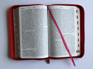Biblia RVR 1960 letra gigante, tamaño manual, símil piel rosada, cremallera, índice / Spanish Bible RVR 1960 Giant Print, handy Size, Pink Leathersoft interior 6 (ISBN 9798890985088) [onix:39645610899c0d6a406291d9a13ccdd8]