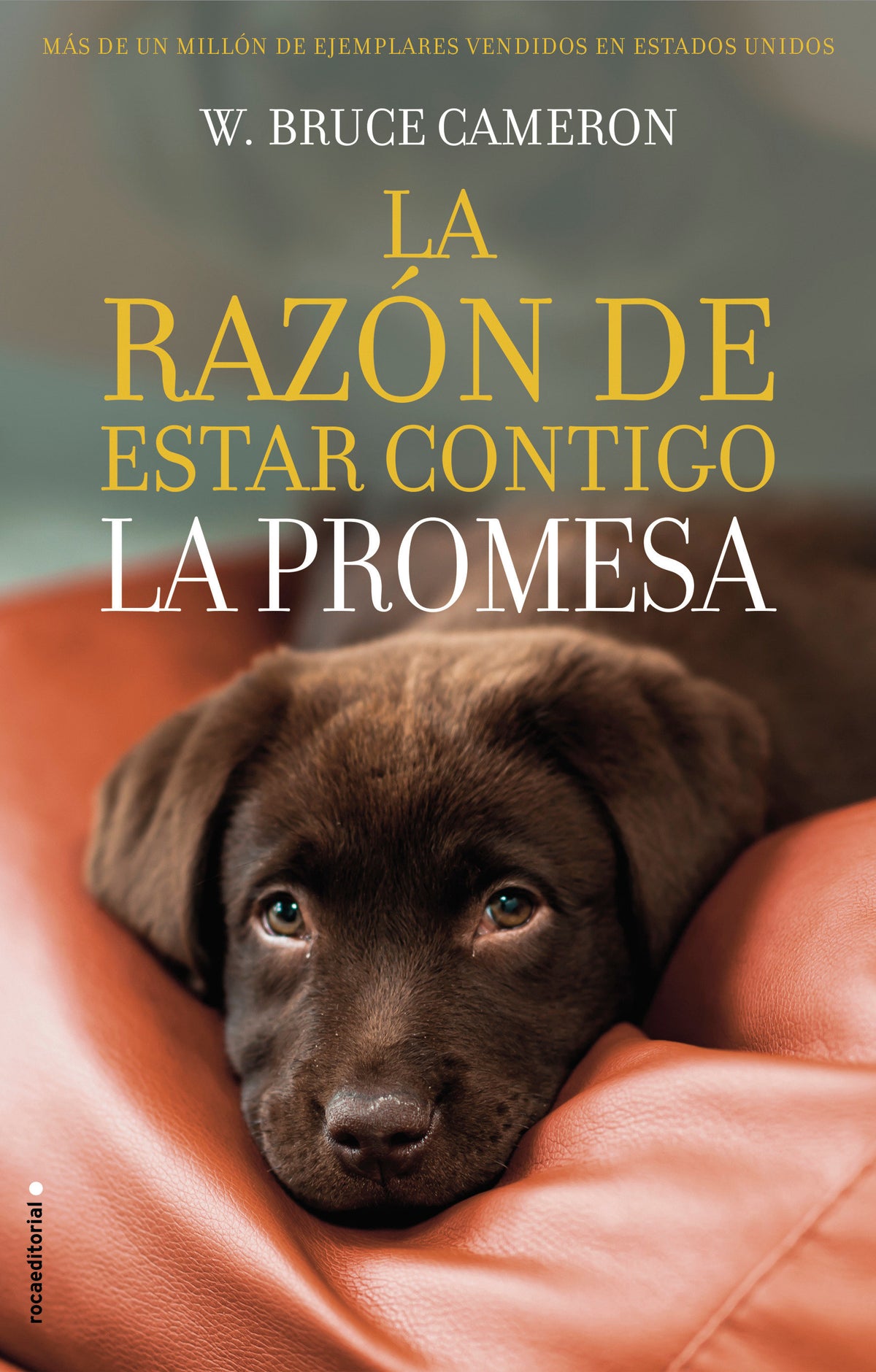 La razón de estar contigo. La Promesa / A Dog's Promise cover (ISBN 9788417167103) [onix:28bf847e4ac5929fea6cc082051ccf62]