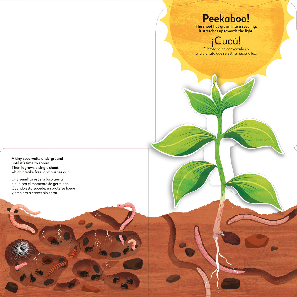 Book interior [onix-asset:0a141c73484ab776ae3ad153a34d96bd0d6e1d39aef9a1c64d7dce45293b35af]