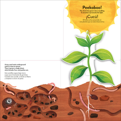 Book interior [onix-asset:0a141c73484ab776ae3ad153a34d96bd0d6e1d39aef9a1c64d7dce45293b35af]