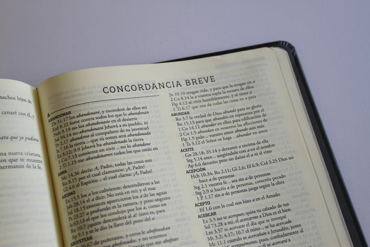 Biblia de apuntes RVR 1960 TD, Negro y oro (Edición cantos pintados) / Spanish Journaling Bible RVR 1960 HC Black and Gold interior 7 (ISBN 9798890982230) [onix:edc78c8c9974352d8b435e3fe13660e6]