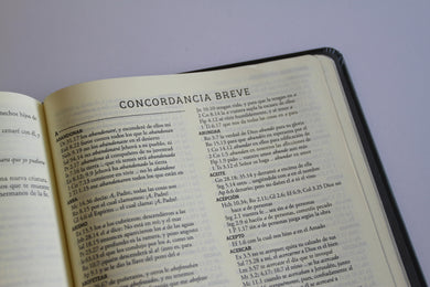 Biblia de apuntes RVR 1960 TD, Negro y oro (Edición cantos pintados) / Spanish Journaling Bible RVR 1960 HC Black and Gold interior 7 (ISBN 9798890982230) [onix:edc78c8c9974352d8b435e3fe13660e6]