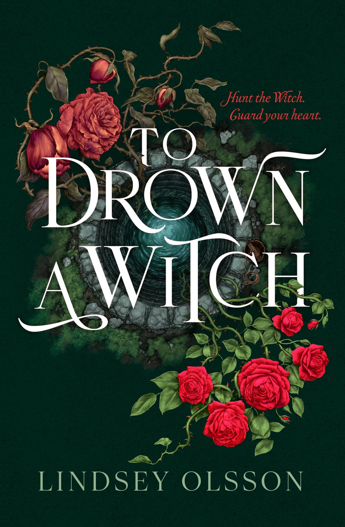 To Drown a Witch cover (ISBN 9798217004812) [onix-asset:72c92d405a412efdd91bcb65a8db5f60d0271316774c3887e1fe07128355d0d4]