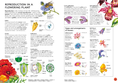 Usborne Illustrated Dictionary of Science interior 1 (ISBN 9781409539100) [onix-asset:236deebaf56eed409e1dcdbb565c432e2a7743a276bdf6d9a02eb9e7f205dbb3]