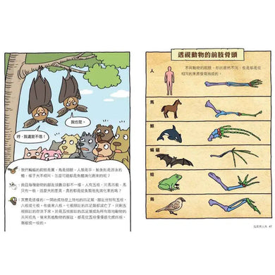 達克比辦案10：鬼屋美人魚：人類構造的演化與返祖現象-非故事: 常識通識 General Knowledge-買書書 BuyBookBook