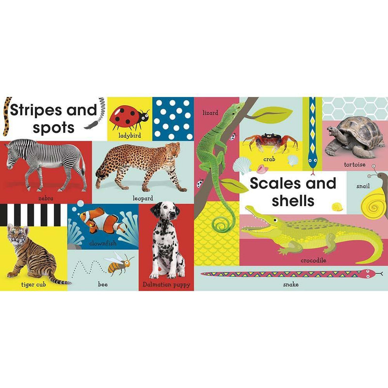 100 First Animals (Board book) DK UK