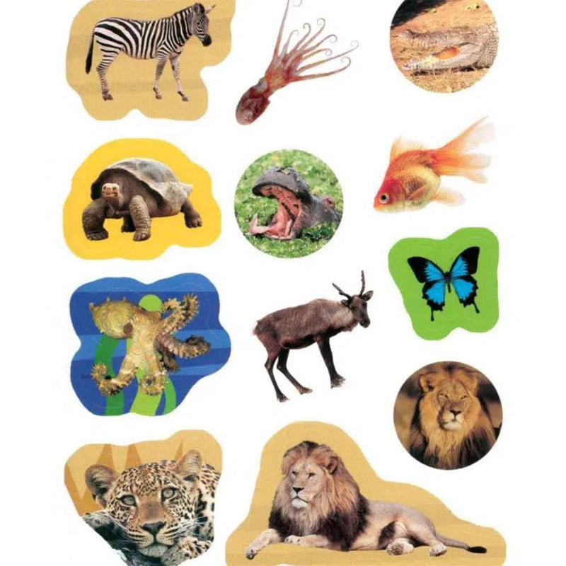 1000 Activities (Priddy Sticker Activity Fun) Priddy