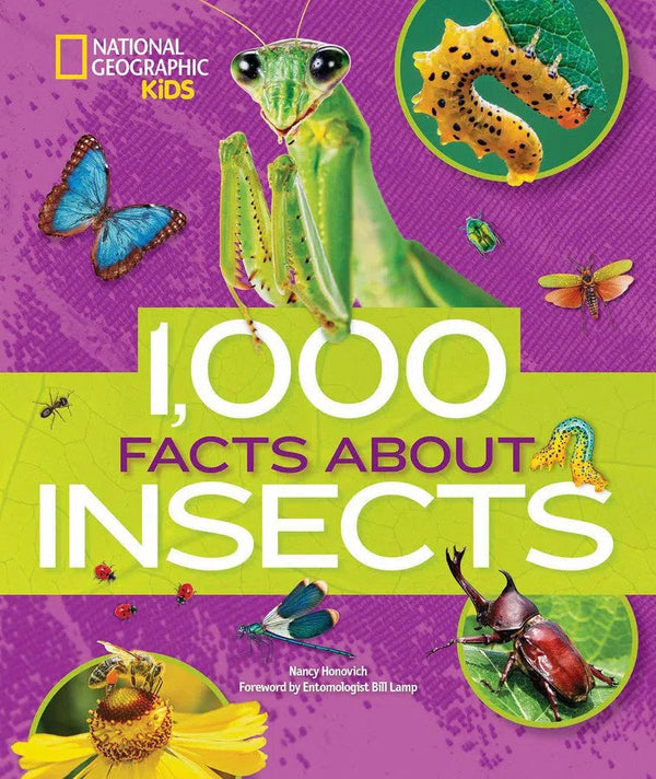 1,000 Facts About Insects-Children’s / Teenage general interest: Nature and animals-買書書 BuyBookBook