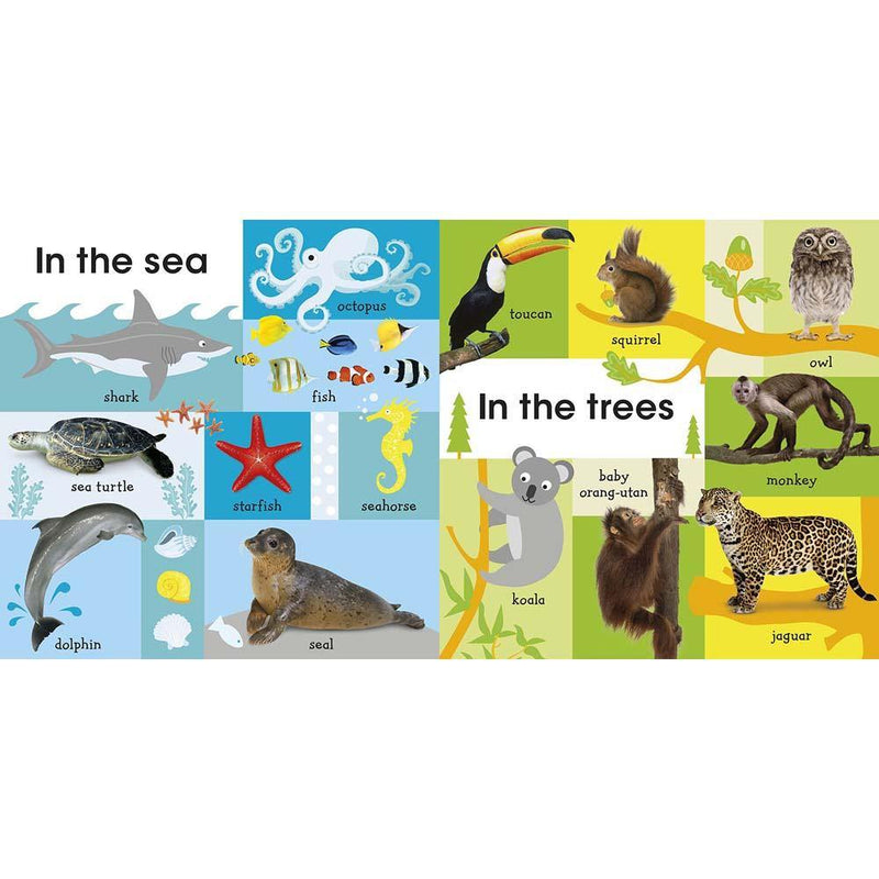 100 First Animals (Board book) DK UK