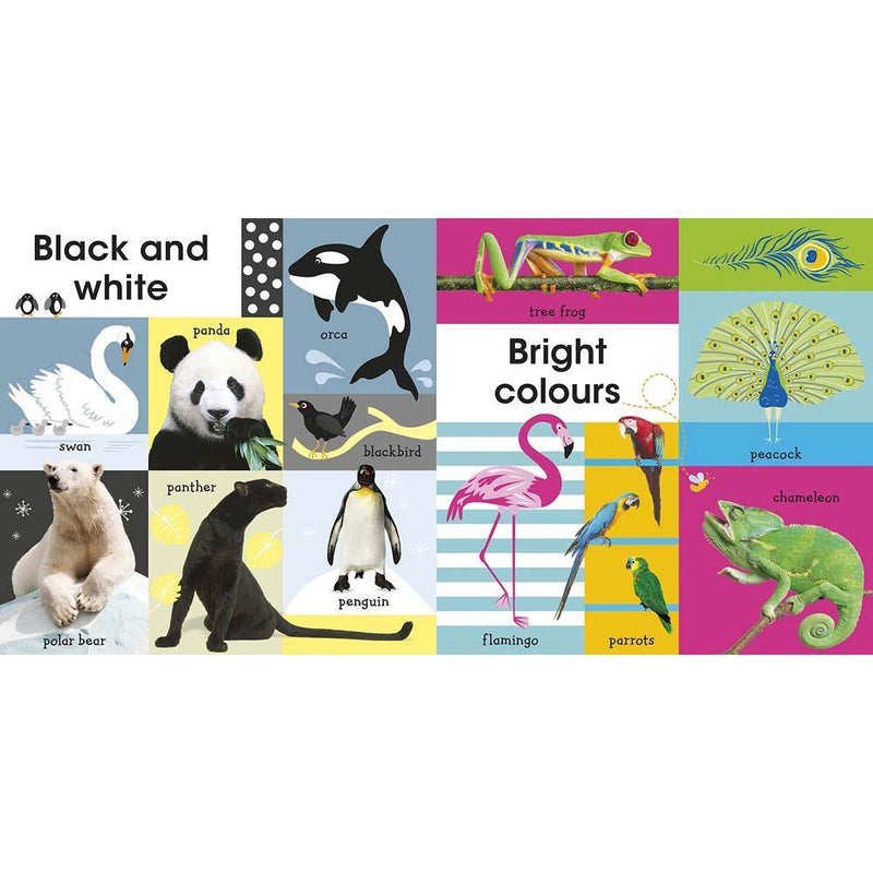 100 First Animals (Board book) DK UK