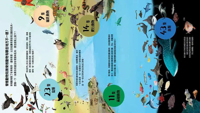 如果這是100隻動物的世界-非故事: 常識通識 General Knowledge-買書書 BuyBookBook