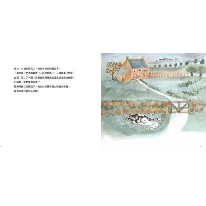 活了100萬次的貓 (佐野洋子)-故事: 兒童繪本 Picture Books-買書書 BuyBookBook