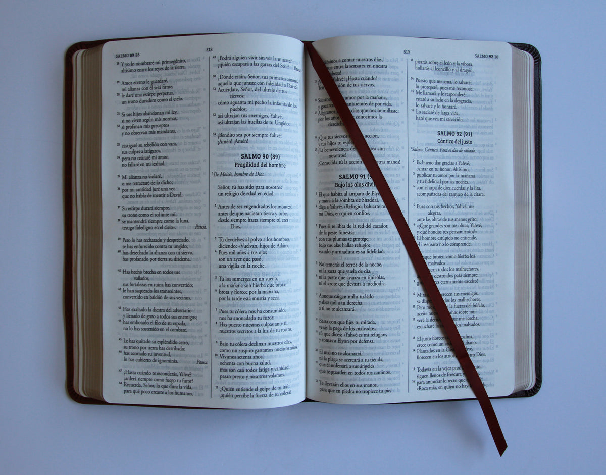 Biblia Católica Biblia de Jerusalén Latinoamericana símil piel marrón / Spanish Jerusalem Bible, Latinamerican Brown leathersoft interior 5 (ISBN 9798890985330) [onix:5867e7e84cdbefd04a80862e3929cfed]