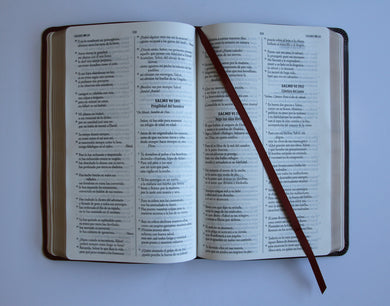 Biblia Católica Biblia de Jerusalén Latinoamericana símil piel marrón / Spanish Jerusalem Bible, Latinamerican Brown leathersoft interior 5 (ISBN 9798890985330) [onix:5867e7e84cdbefd04a80862e3929cfed]